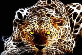 Jaguar.png