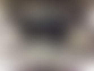 A crashed and totaled WS6 gave its life today.