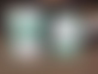 Detroit Facility March trip