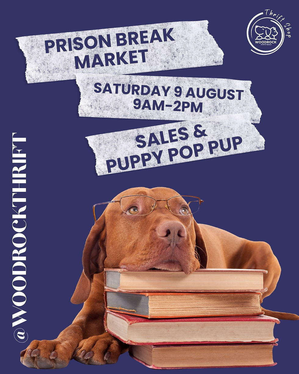 Shed 1 Harvest Pantry - Woodrock Animal Rescue Sat 9 Aug