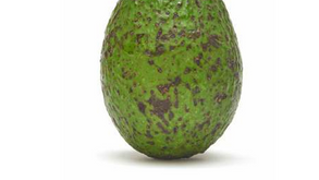 Tackling Lenticel Damage in Avocados