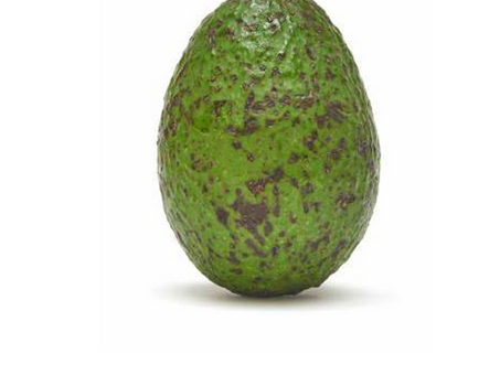 Tackling Lenticel Damage in Avocados