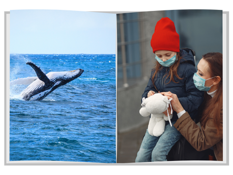 Reflexiones de vida ante el coronavirus 1