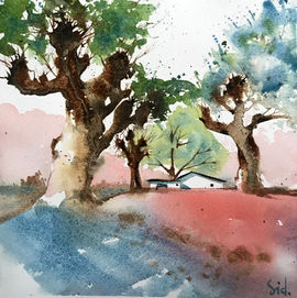 cours de dessin, aquarelle, et croquis urbain à Biarritz, Bayonne, pays basque