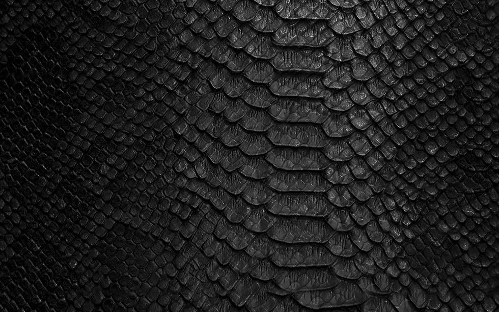 Black snake scales