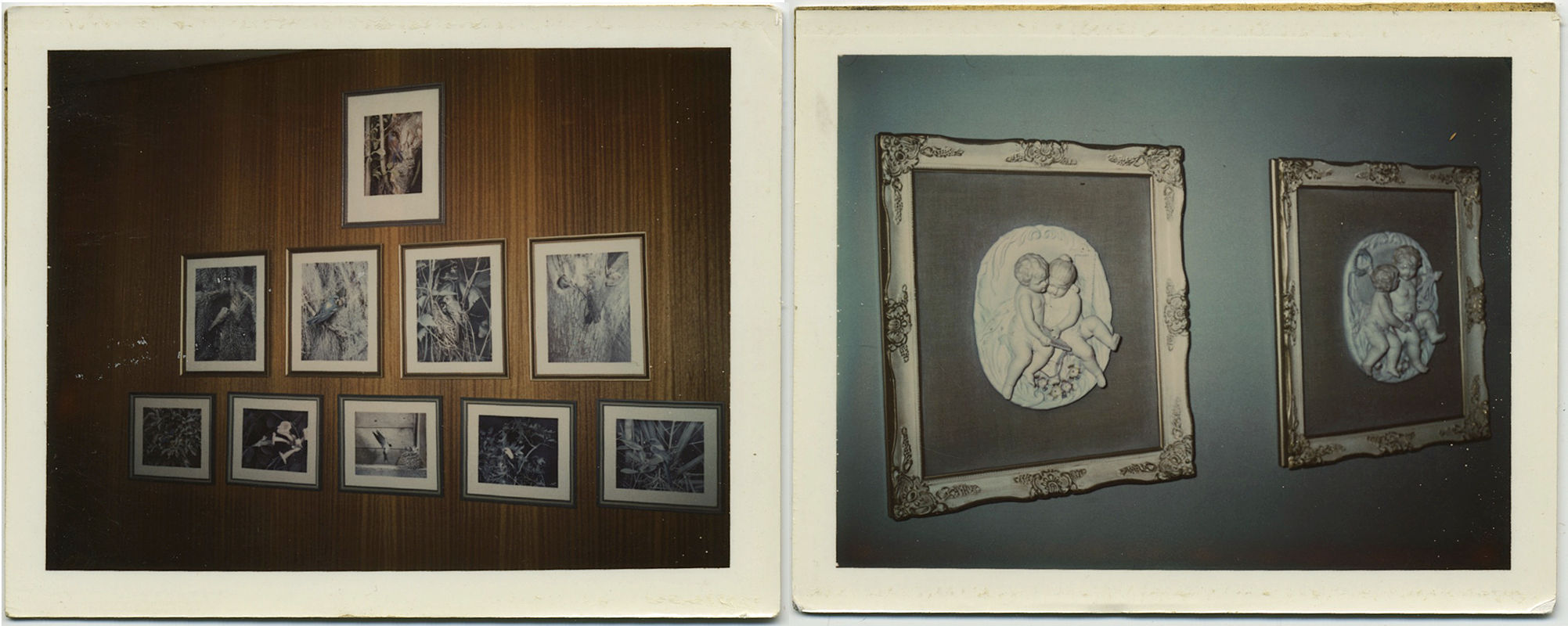 POLAROID DIPTYCH PICTURES & FRAMED KITSCHY CHERUB PLASTER RELIEFS HUNG on WALL