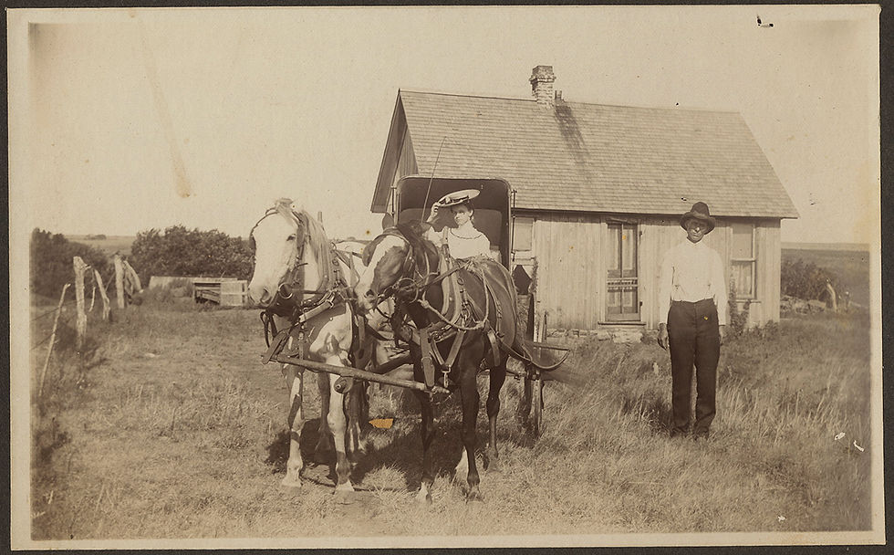 Thumbnail: FASCINATING RURAL WOMAN in BEST DRESS & HAT on HORSE DRAWN BUGGY & SOLITARY MAN