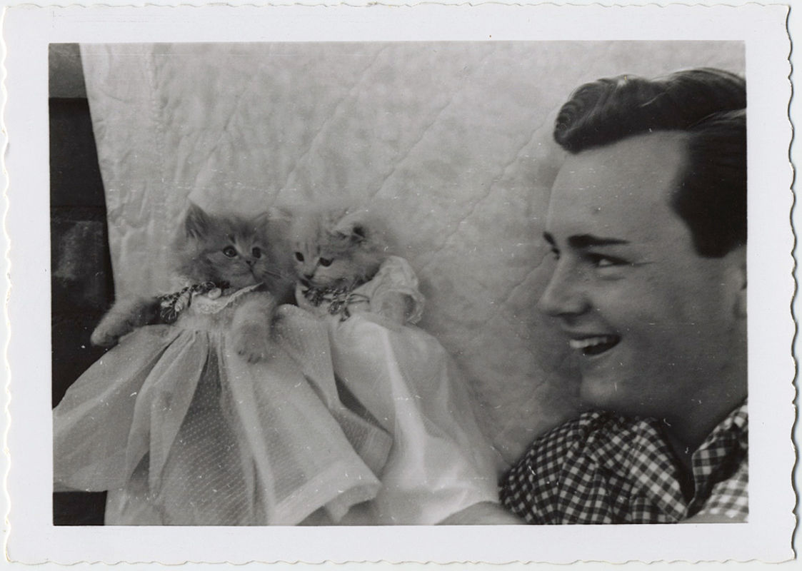 CUTE SUPER HANDSOME MAN & CUTE KITSCHY KITTENS KITTED out in SKIRTS! Cats & Dad!