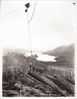 Darius & Tabitha Kinsey