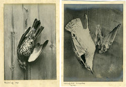 fp0894+combo(dead_brds-1891)