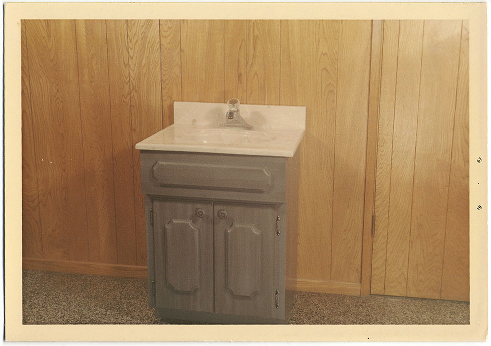 Thumbnail: SUPERB 70s BANALITY BATHROOM VANITY PRODUCT DIPTYCH CHEAP PANELING & MORE! 2 pix