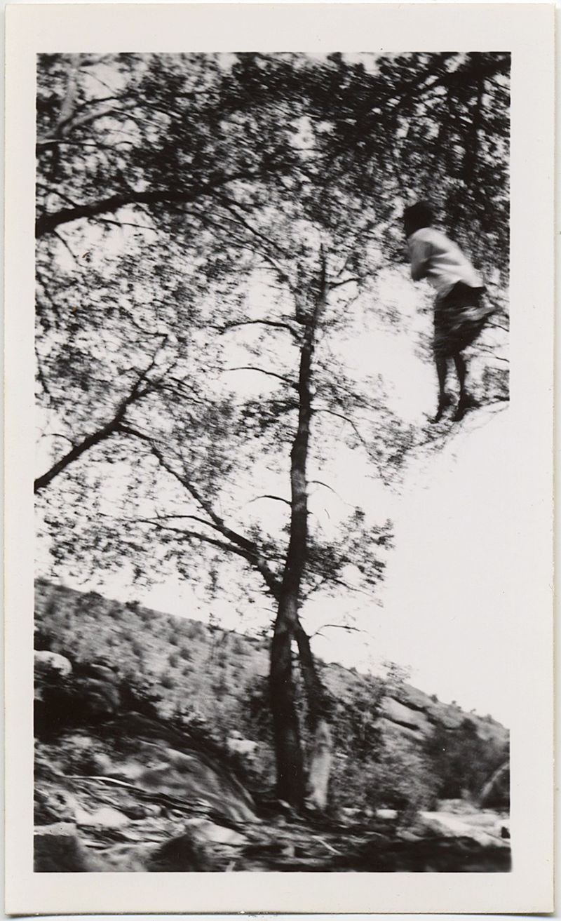 WEIRD UNUSUAL STRANGE IMAGE WOMAN SUSPENDED in TREE??