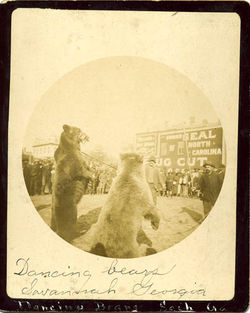 fp0056(K2_DancingBears)