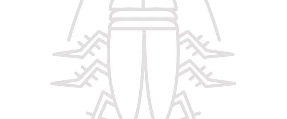 Cucaracha