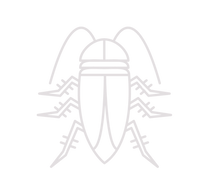 Cockroach