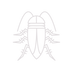 Cockroach