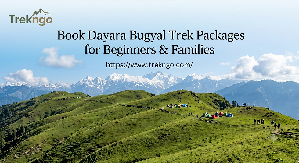 Book Dayara Bugyal Trek Packages for Beginners & Families