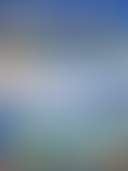 Book Triund Trek: Experience the Best Himalayan Adventure