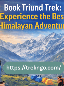 Book Triund Trek: Experience the Best Himalayan Adventure