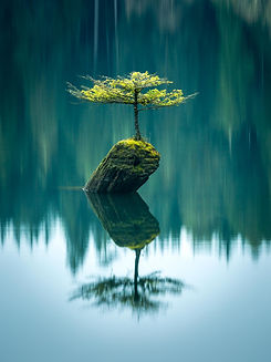 The Bauty of Stillness.jpg