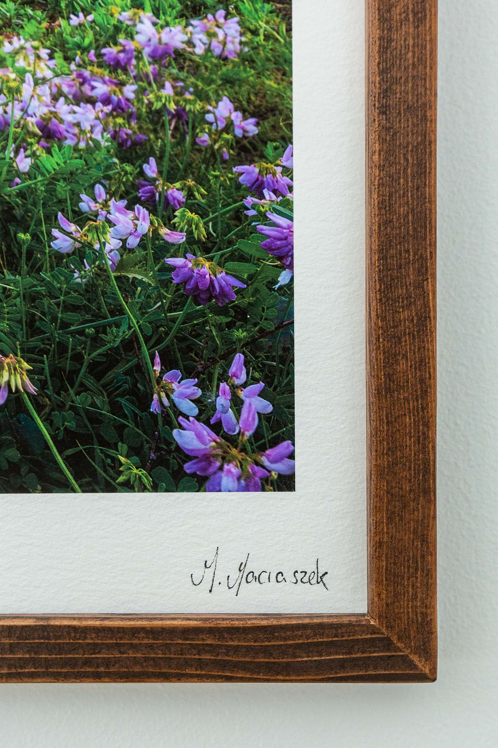 Thumbnail: The full bloom of a season