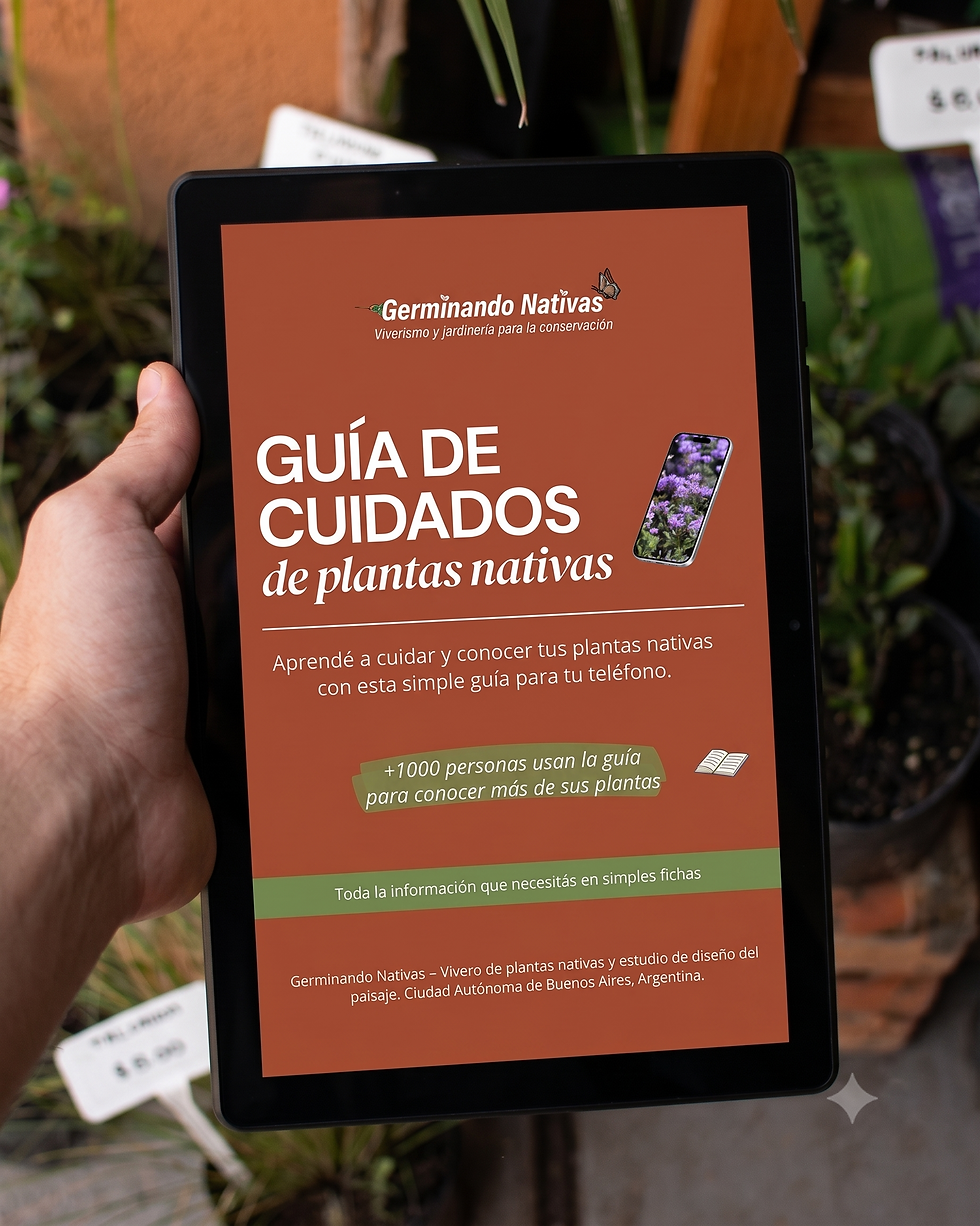 Guía de cuidados de plantas nativas | Germinando Nativas