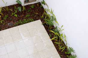 GERMINANDO 2-6 - 00001089