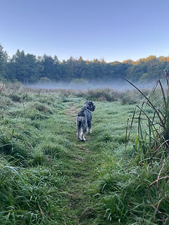 IMG_5085.jpeg