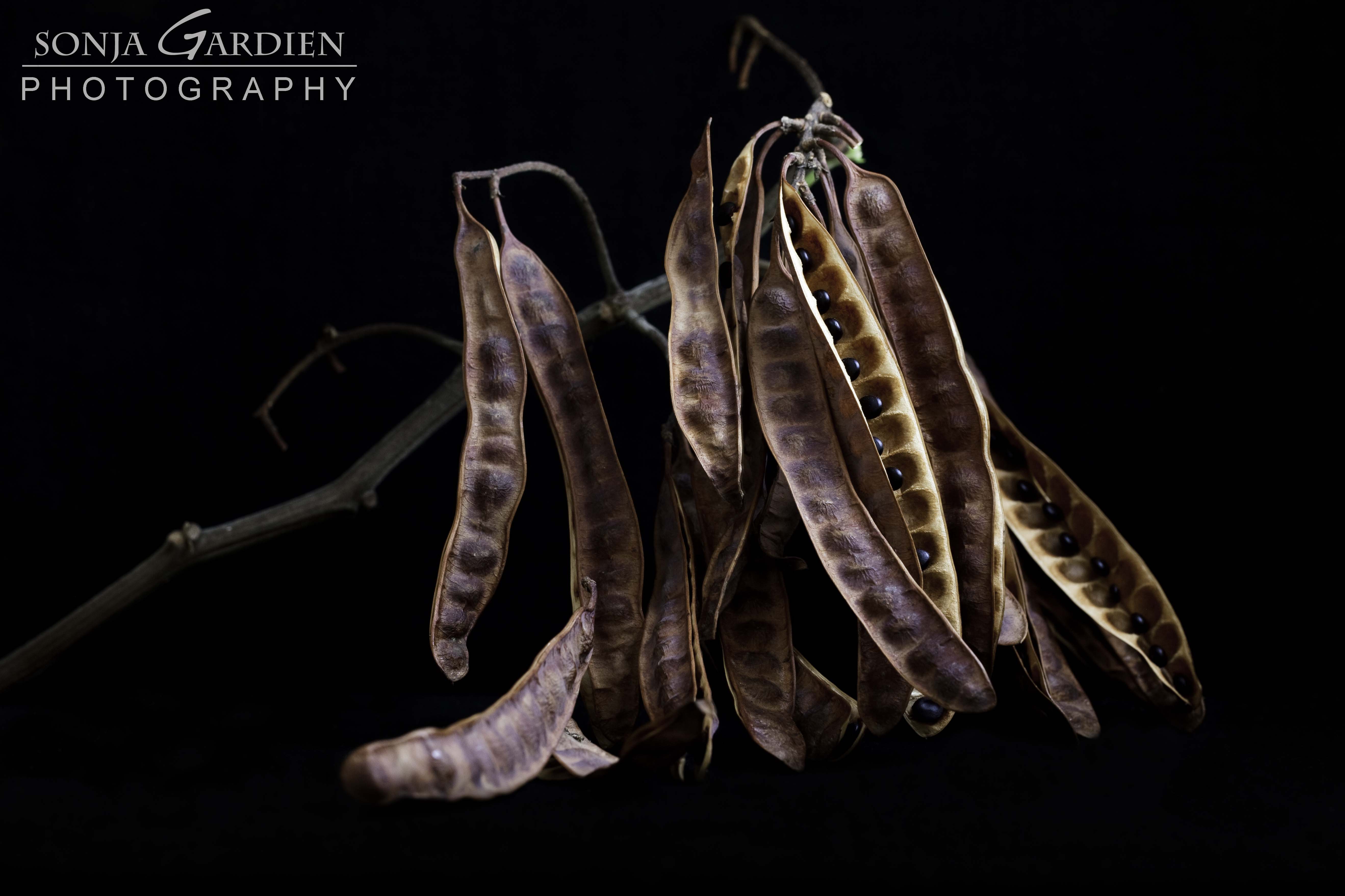 Seed pods