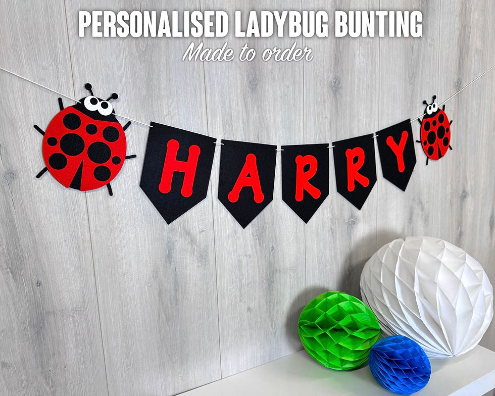 Thumbnail: Ladybird Theme Bunting | Custom Name