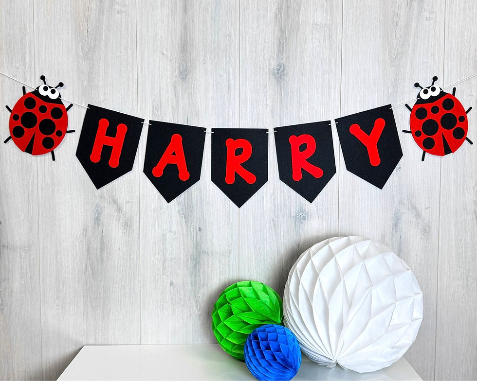 Thumbnail: Ladybird Theme Bunting | Custom Name