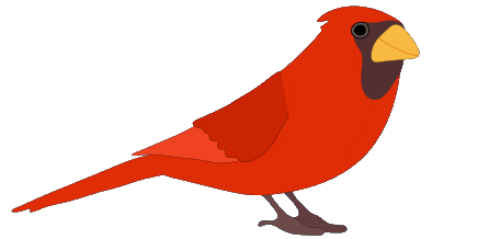 Cardinal Gif.gif