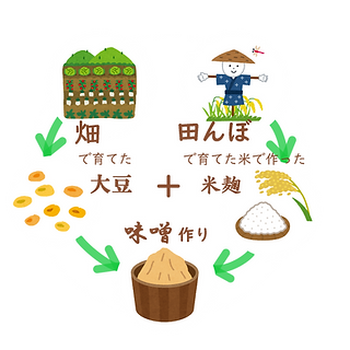 【野良】コンセプトロゴ2_edited.png