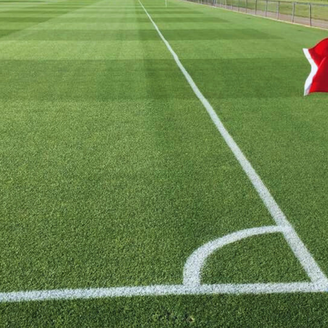 How to Recover Turf Quality After a Hard Freeze or Winter Weather