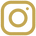 Instagram Icon Gold