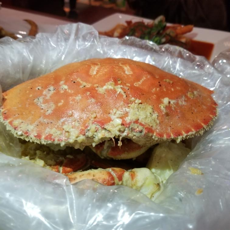 Dungeness Crab