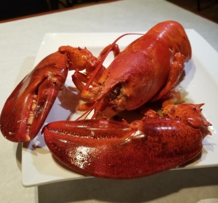 Boston Lobster