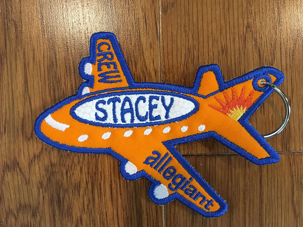 G4 Airplane slide for more options > Bag Tag Lady