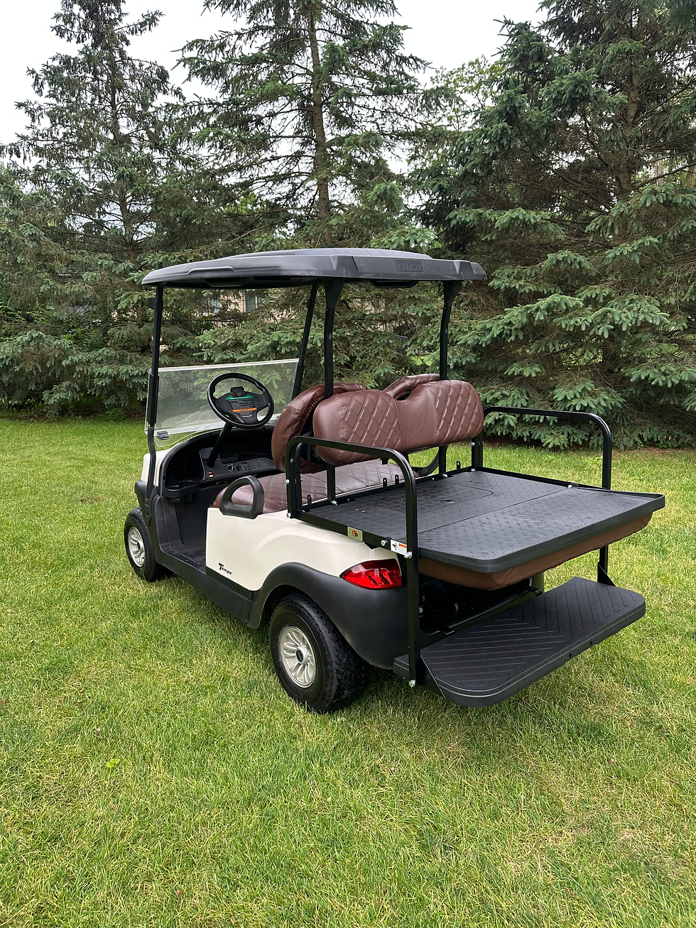 Thumbnail: 2019 Gas EFI Club Car Tempo