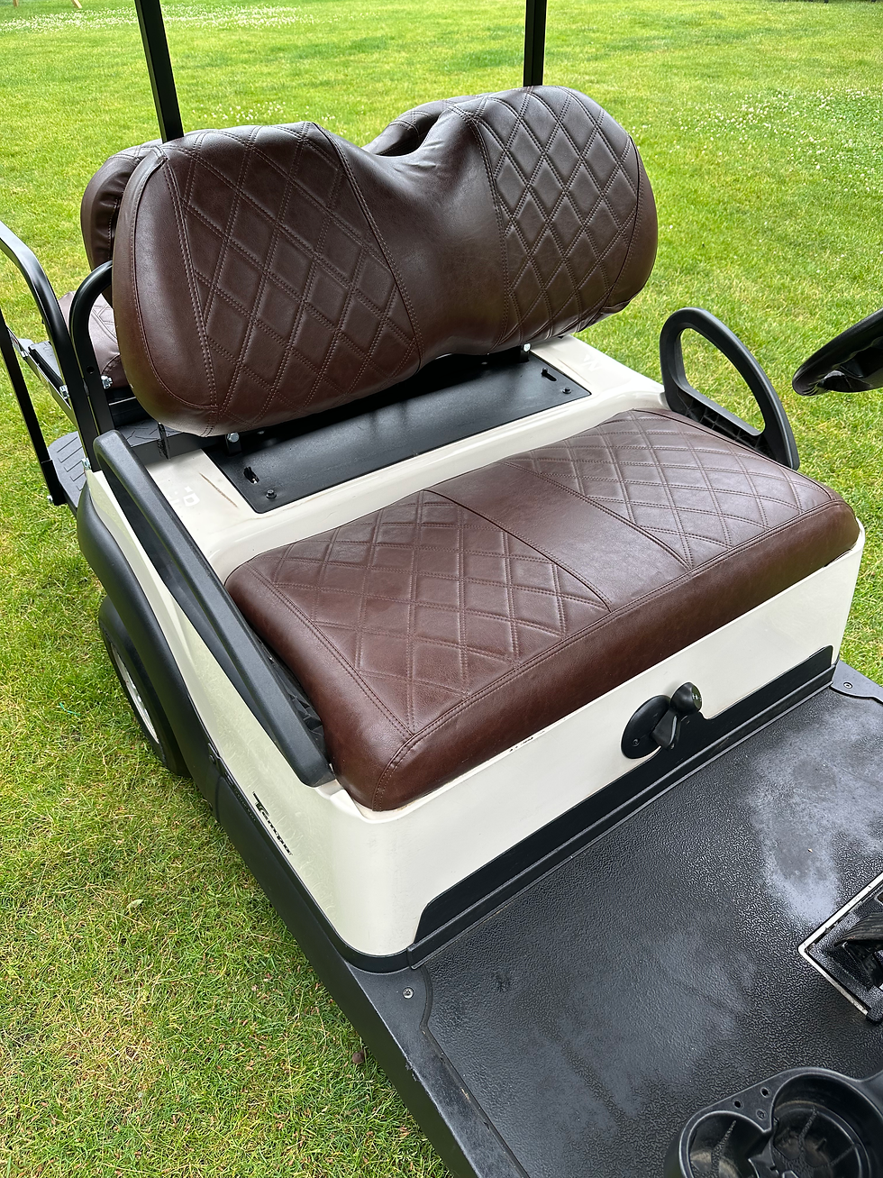 Thumbnail: 2019 Gas EFI Club Car Tempo