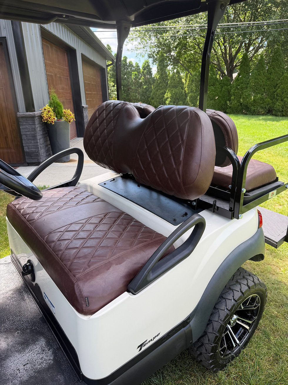 Thumbnail: 2020 Gas Efi Club Car Tempo 