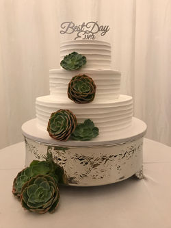Succulent cake