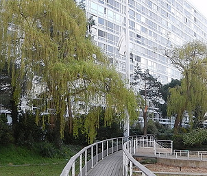 jardin.jpg