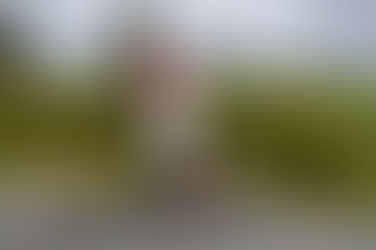 Blitz terrassesliper