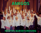 AMIGOS.png