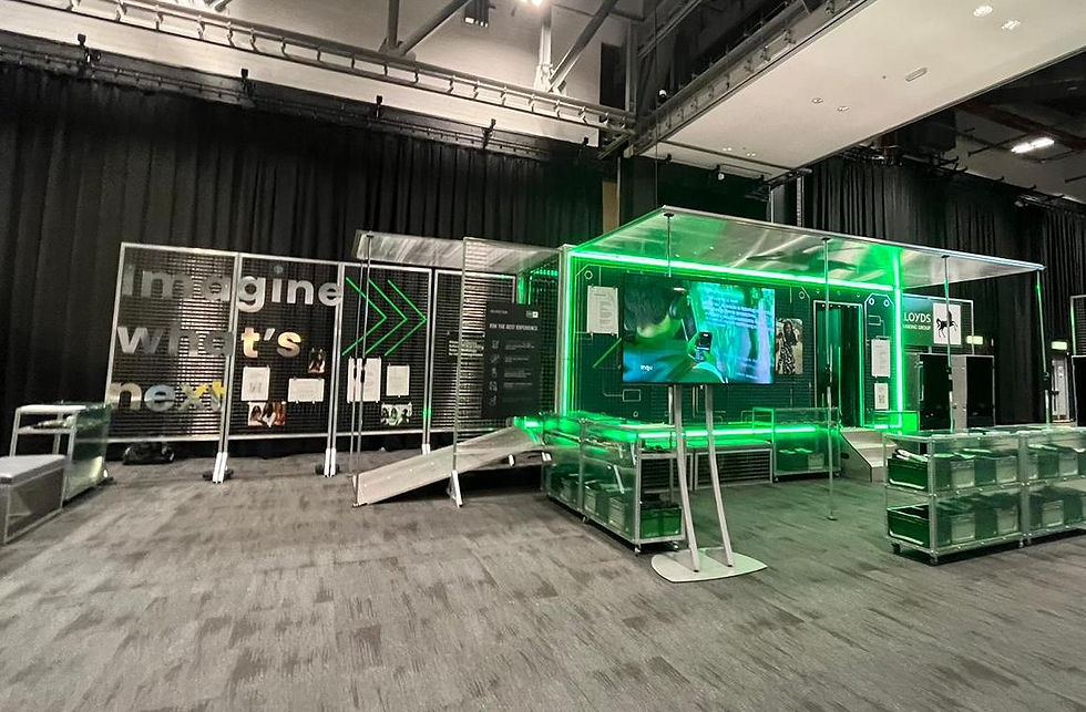 WhatsApp Image 2023-12-01 at 14.03.28 (1).jpeg