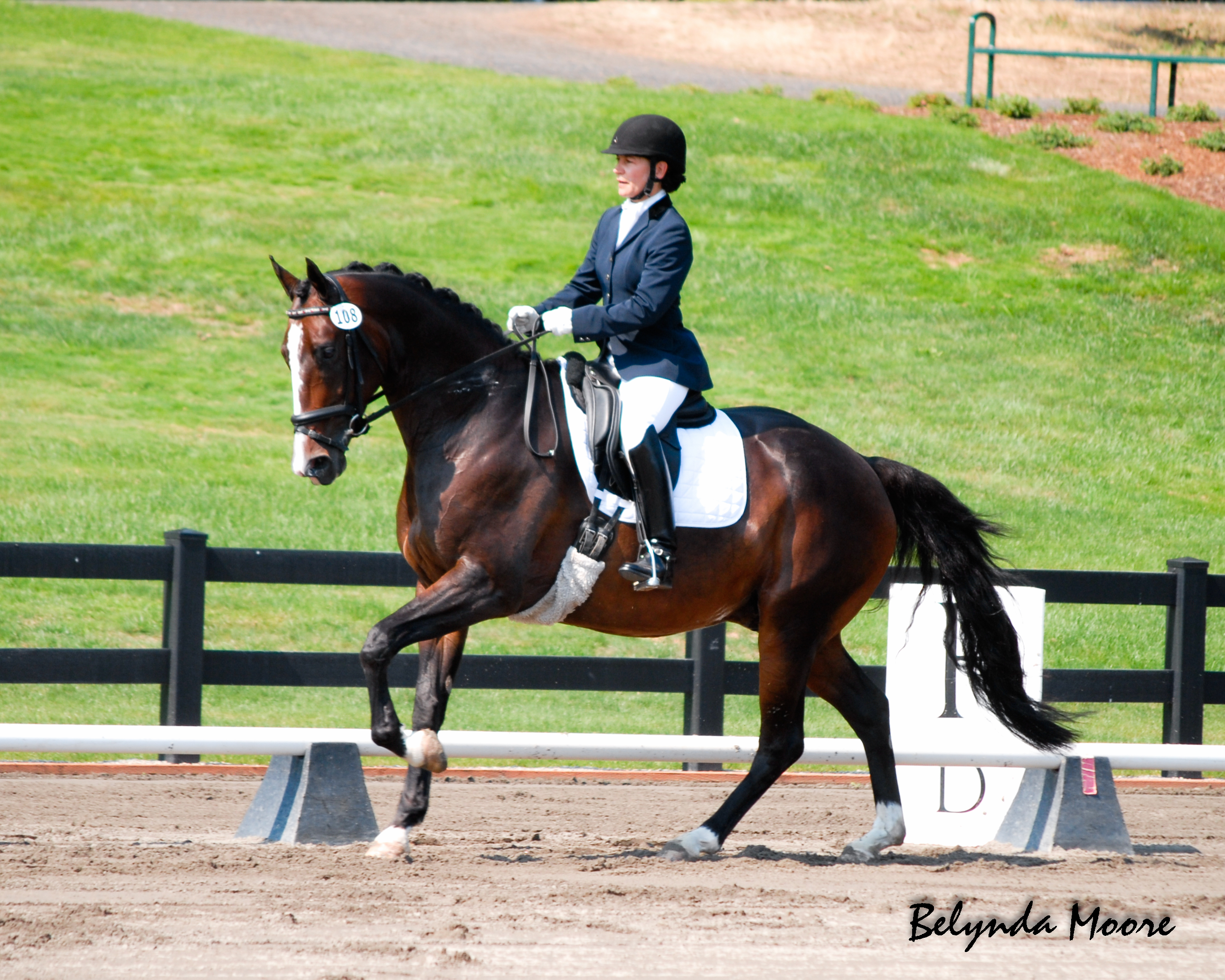 WRoyal Prince - 2008 Hungarian gelding