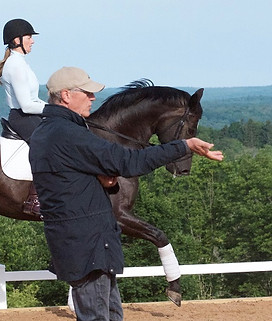 Jennifer Williams Dressage Rider
