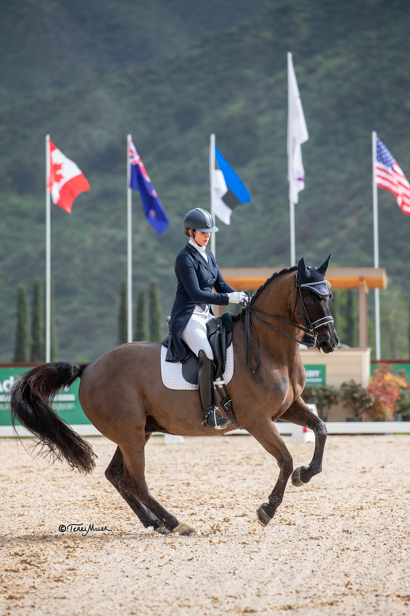Viggo winning the FEI I-1