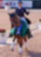 Jennifer-Williams-Millione_MG_9342.jpeg